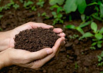 TANEUH KUBURAN BAGEAN 1